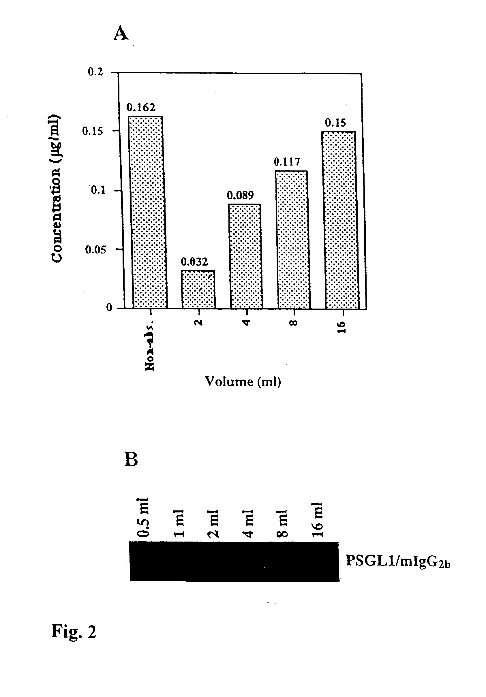 Antigenic fusion protein carrying Galalpha 1,3Gal epitopes