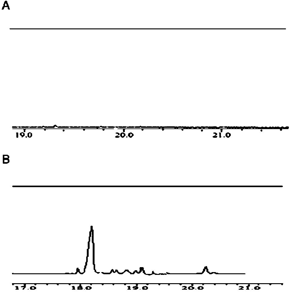 Mutant of SgCS gene of momordica grosvenori and application of gene