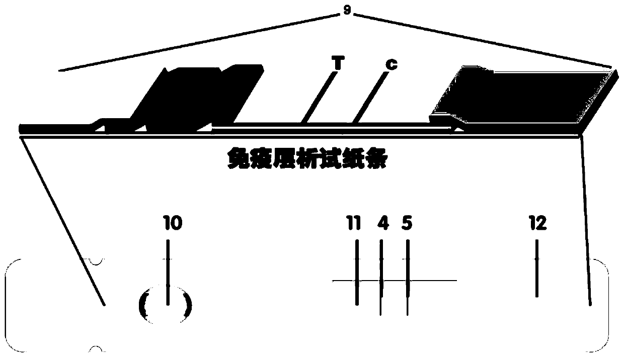 System for quantitatively detecting heavy metal cadmium and preparation method thereof