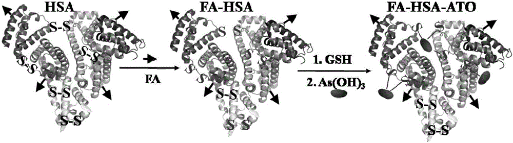 Preparation method of As2O3 albumin nano medicine