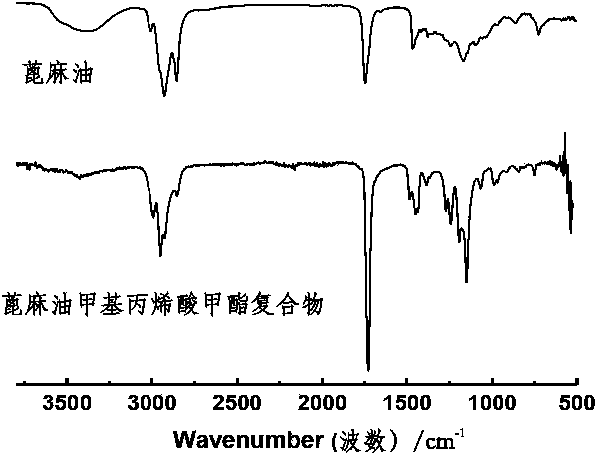 Castor-oil-based ordered polymer and preparation method thereof