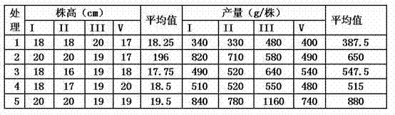 Modifying agent capable of passivating vegetable garden soil heavy metal and preparation method and applying method thereof