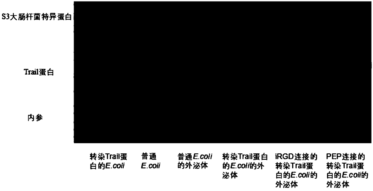 Exosome, method for preparing same and application of exosome to preparing medicines for skin superficial tumor