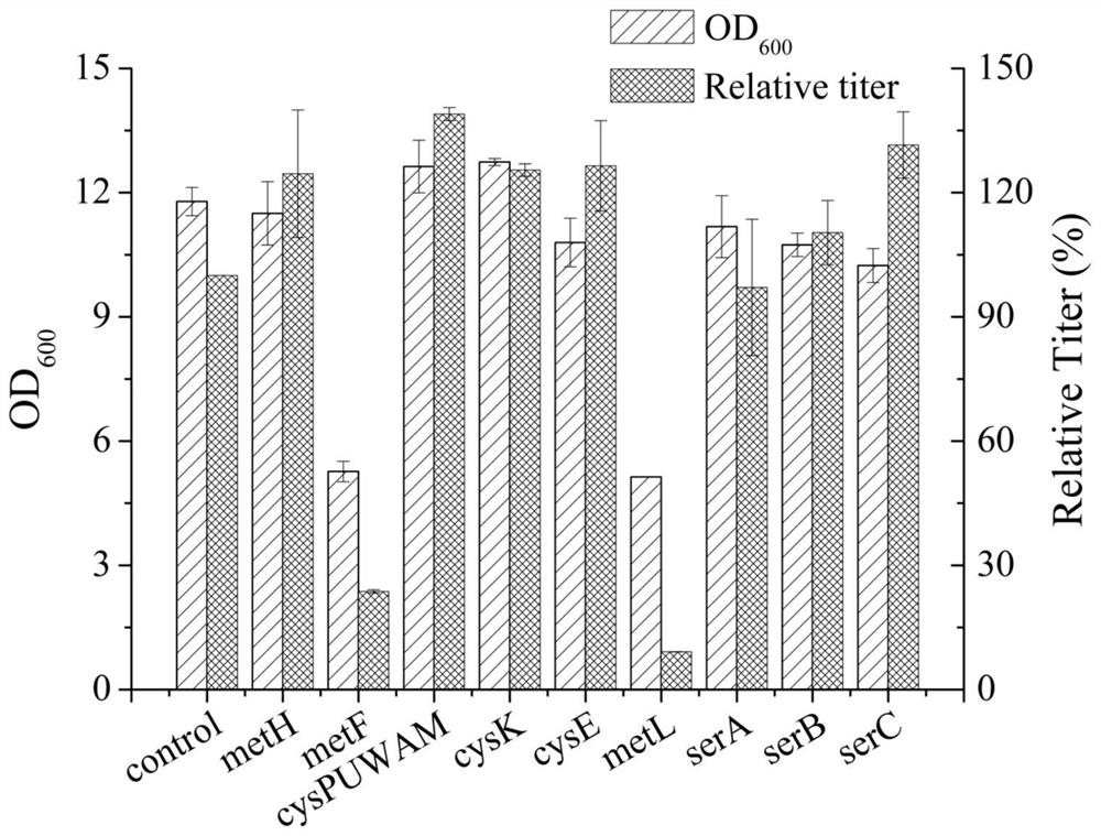 A kind of recombinant Escherichia coli with high production of l-methionine and its application