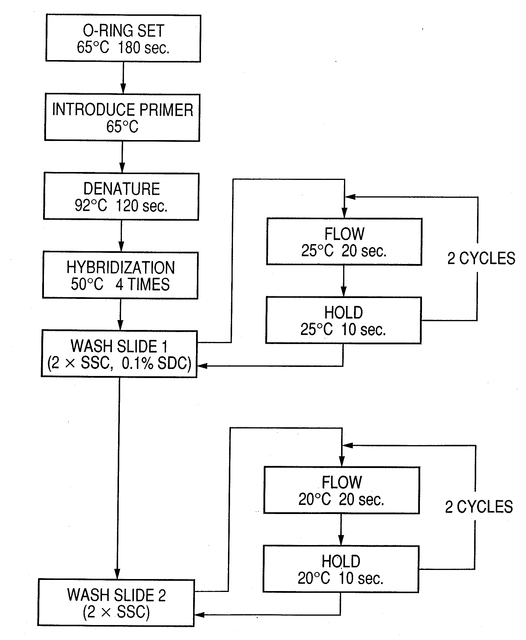 Probe, probe set, probe carrier, and testing method