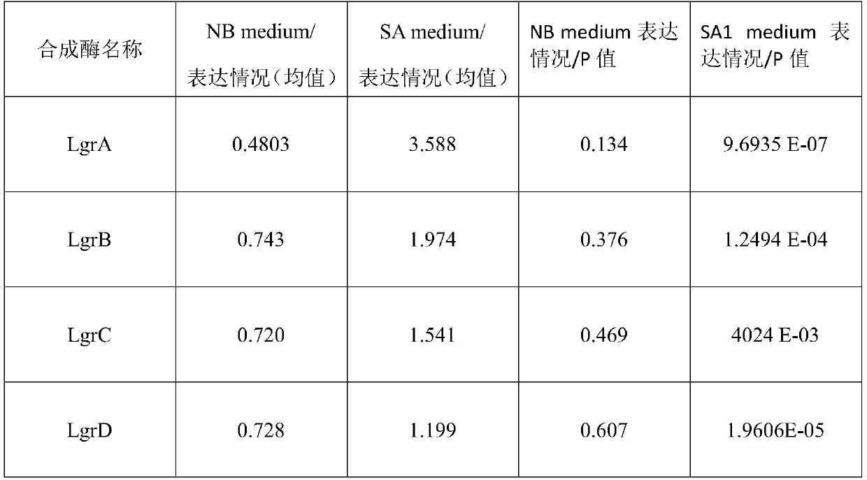 Culture medium for promoting synthesis of antibacterial polypeptide gramicidin and culture method thereof