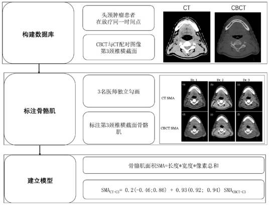 Method for evaluating skeletal muscle index of head and neck tumor patient through CBCT