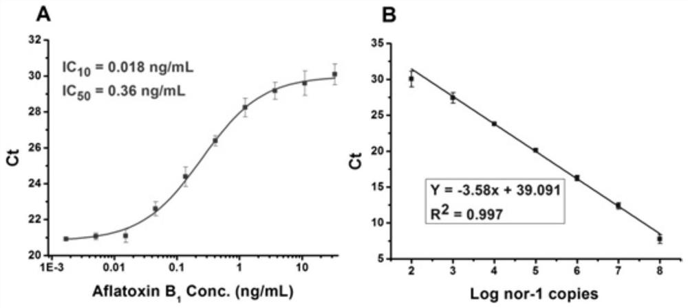 A method for identifying and evaluating the toxicity of aflatoxin-producing strains