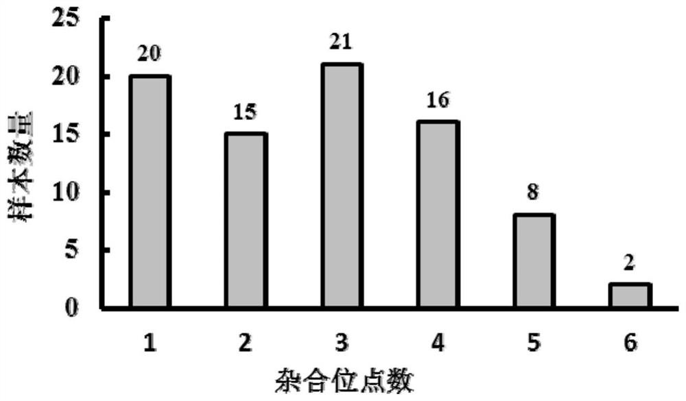 A SNP locus, primer set and application for identifying the purity of pepper hybrids