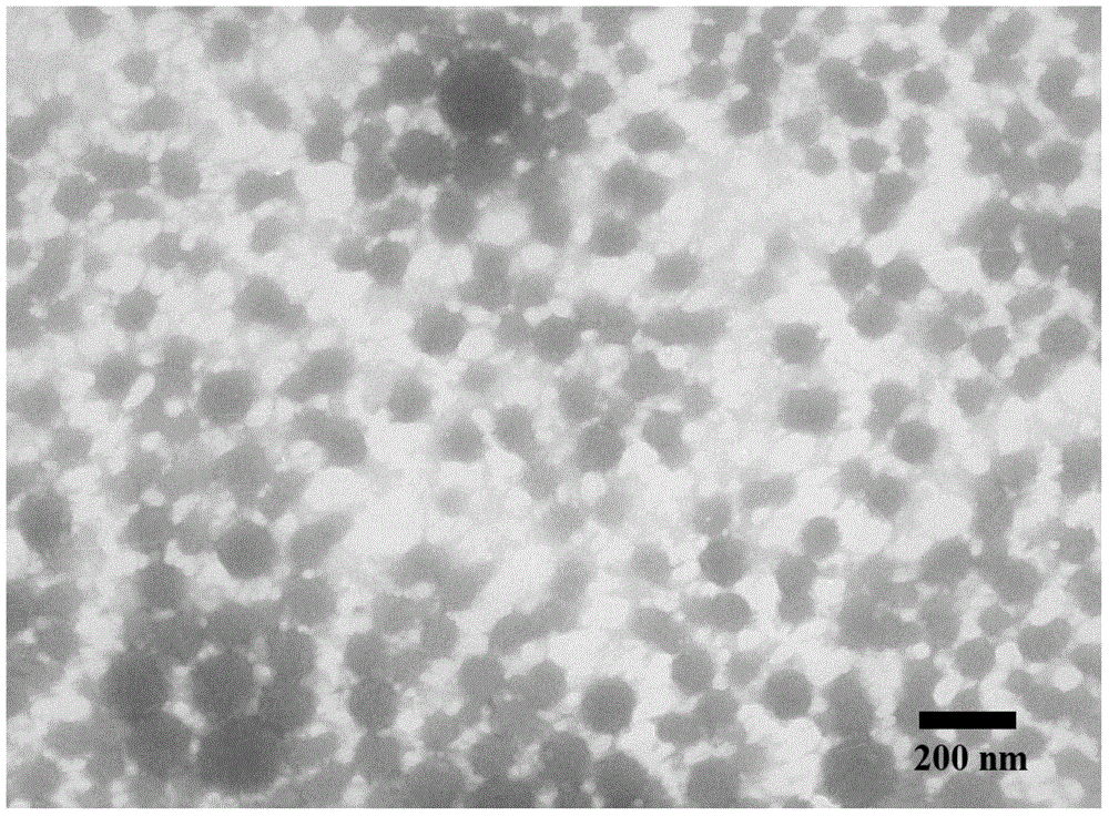 Preparation method of chitosan quaternary ammonium salt hyaluronic acid nanogel coated with basic fibroblast growth factors