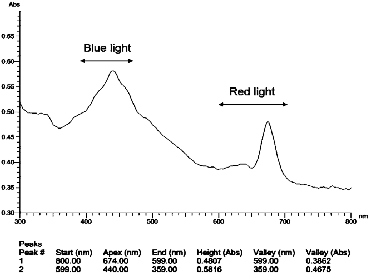 Method for increasing content of fucoxanthin in heterotrophic cultured smooth nitzschia fermentation liquid by utilizing illumination