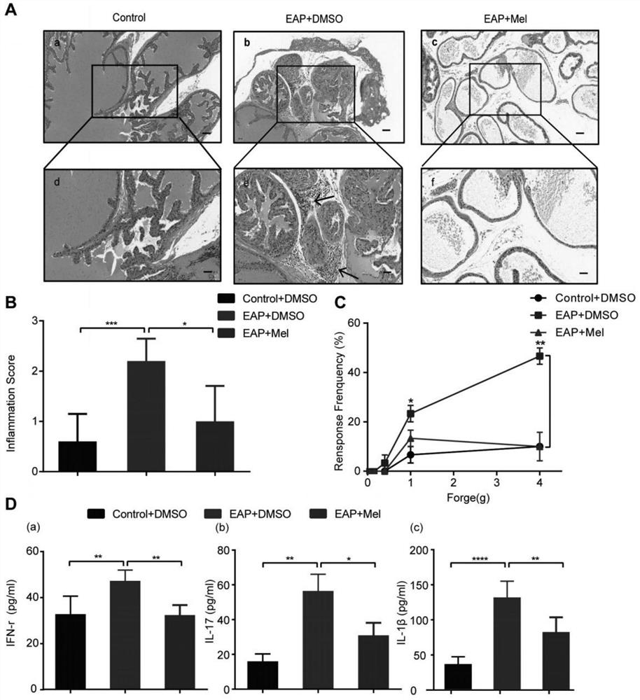 Application of melatonin to preparation of medicine for treating autoimmune prostatitis and medicine for treating autoimmune prostatitis