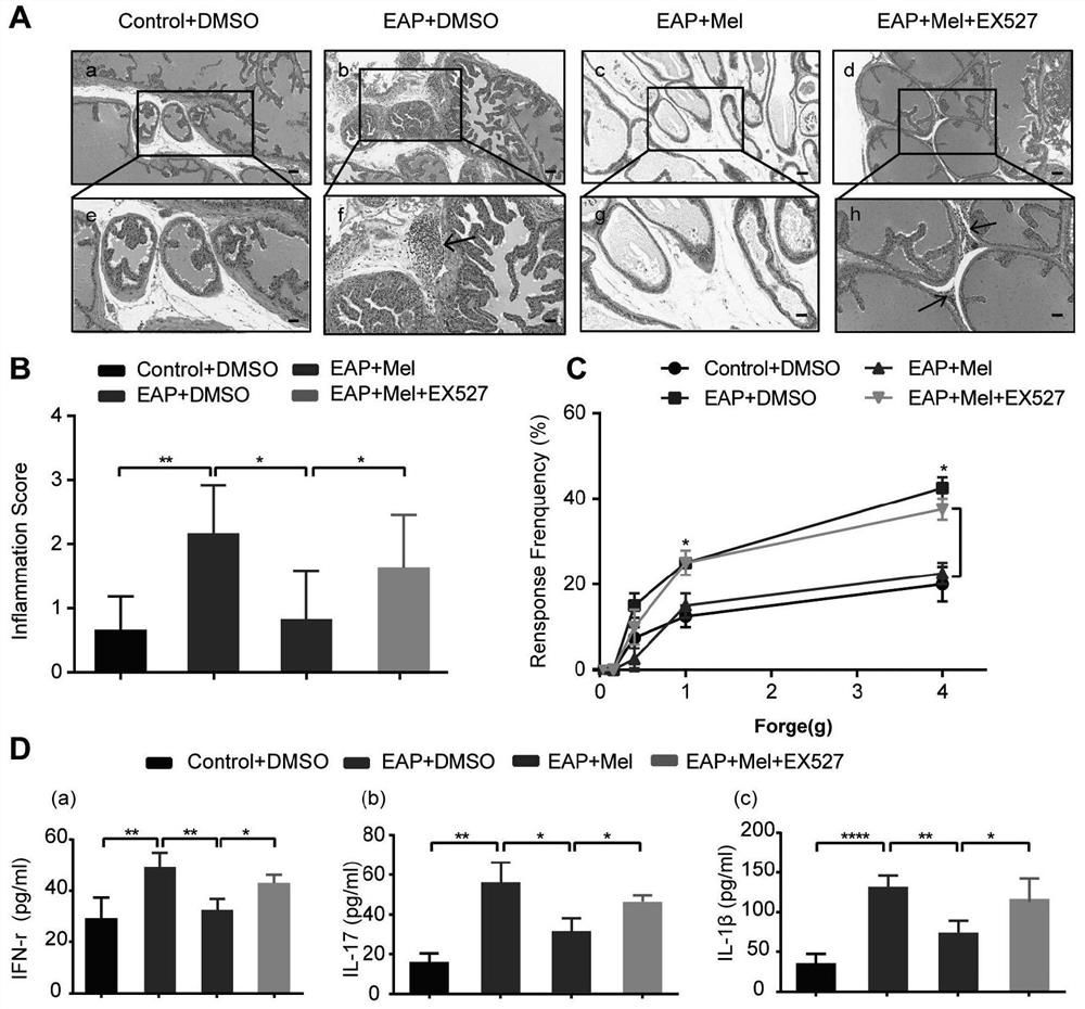 Application of melatonin to preparation of medicine for treating autoimmune prostatitis and medicine for treating autoimmune prostatitis