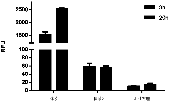 Optimized in vitro cell-free protein synthesis system and application