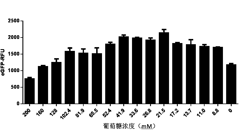 Optimized in vitro cell-free protein synthesis system and application