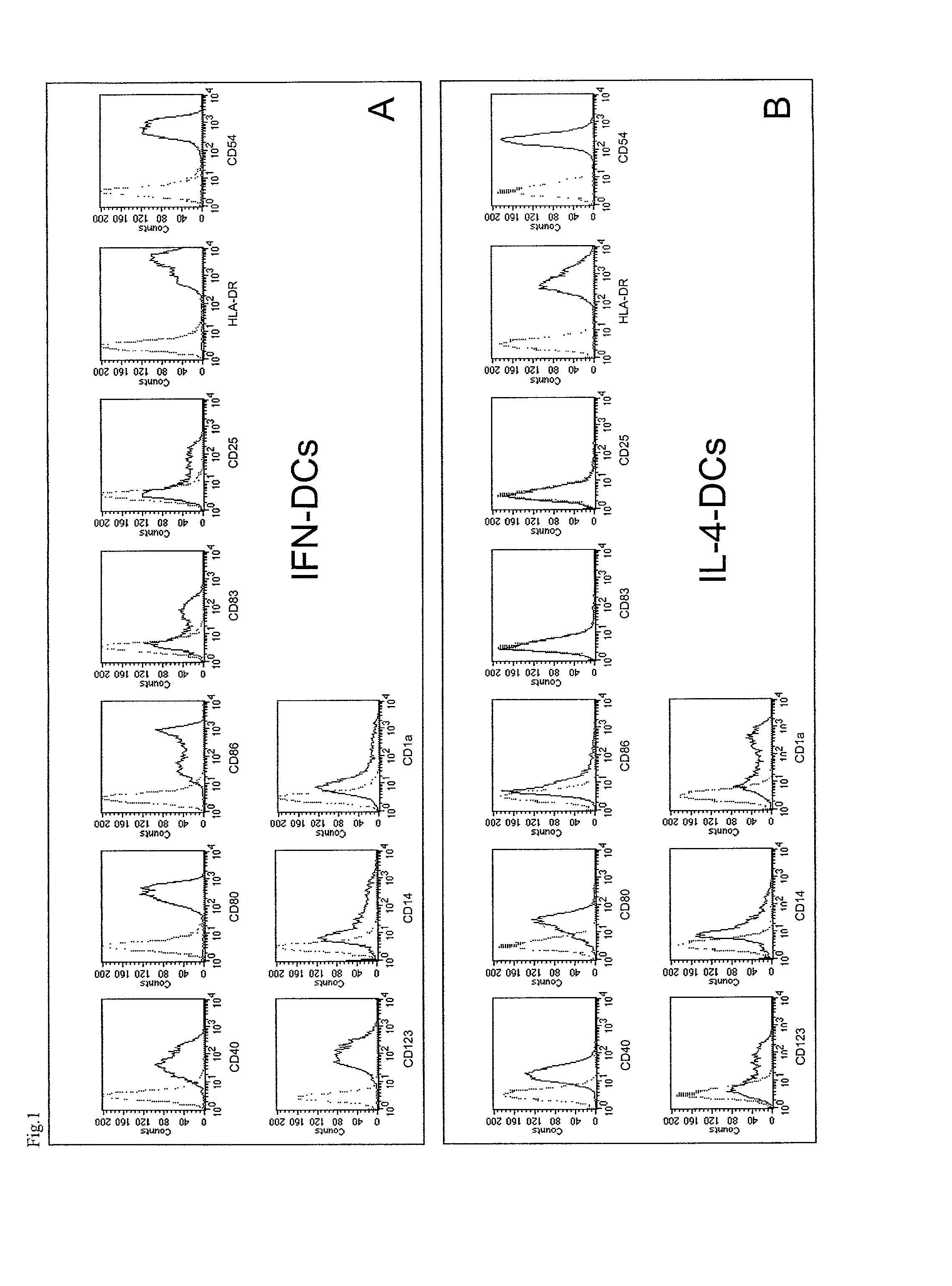 Method for generating highly active human dendritic cells from peripheral blood mononuclear cells