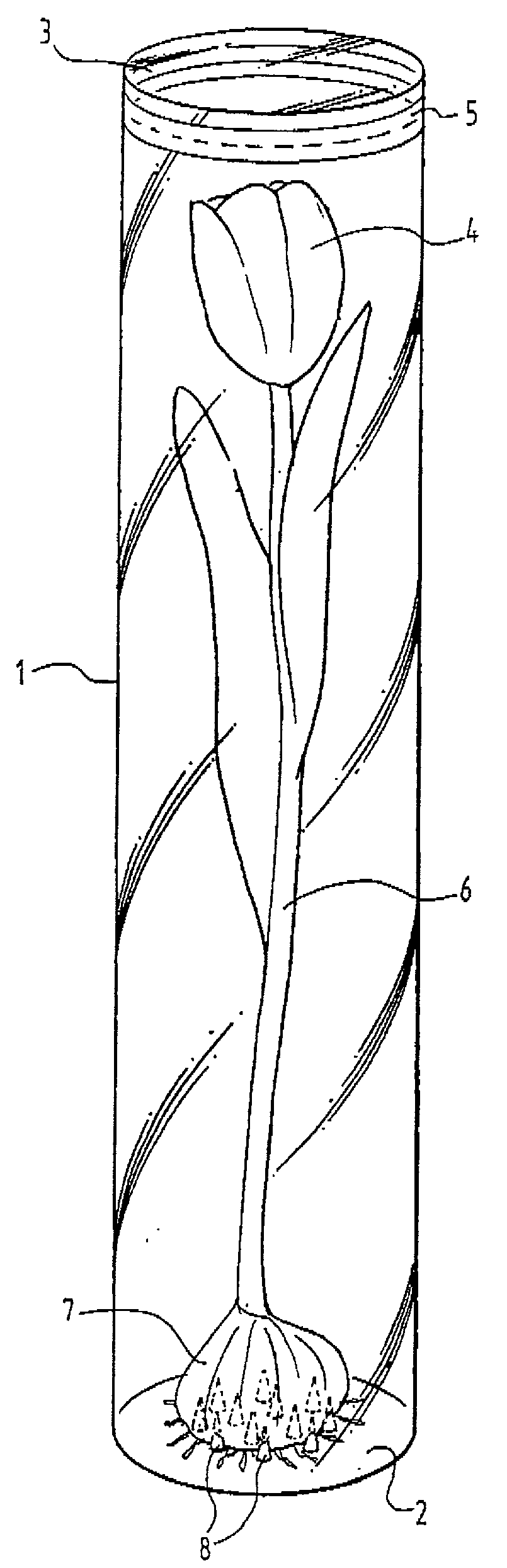 Display package at least substantially made of a transparent plastic material