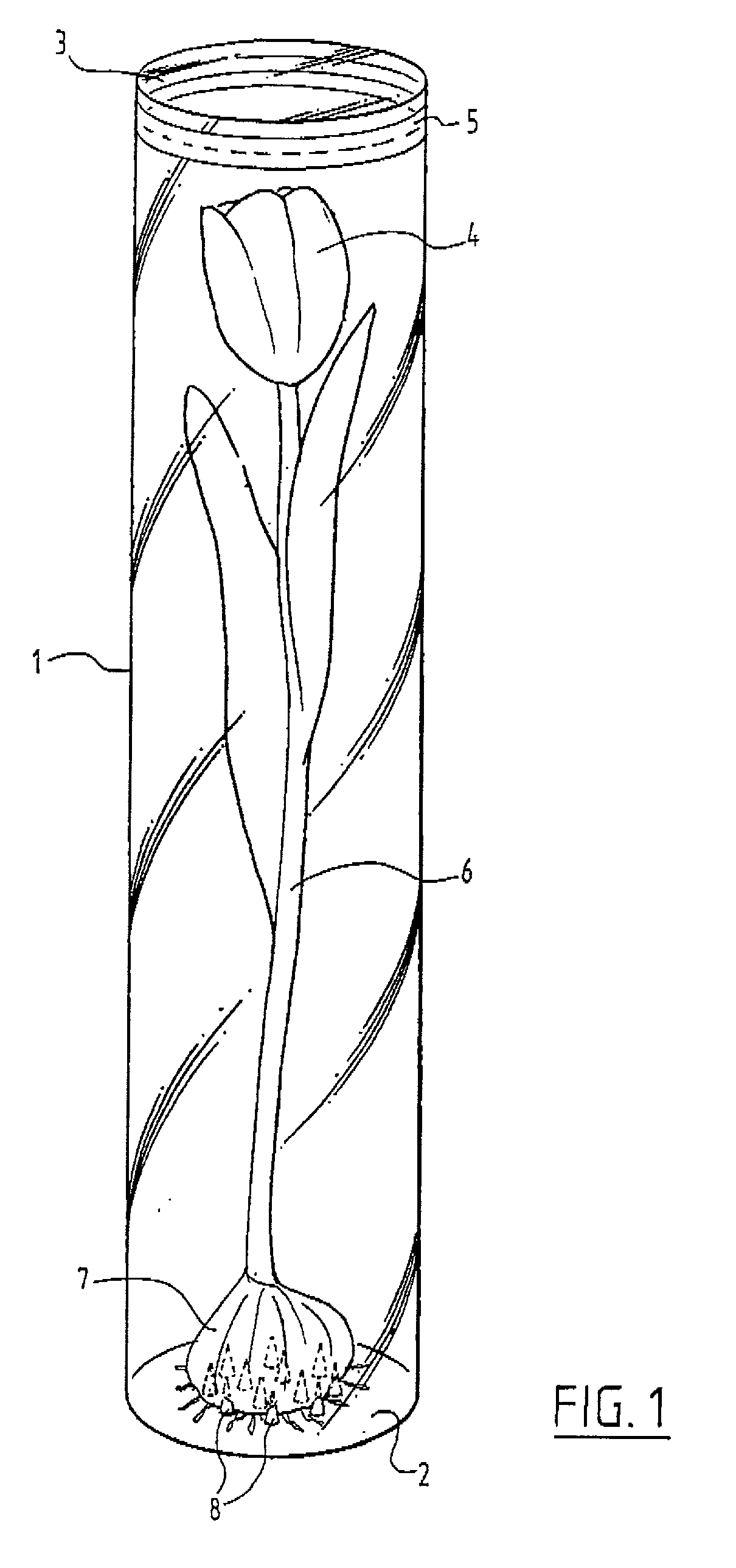 Display package at least substantially made of a transparent plastic material