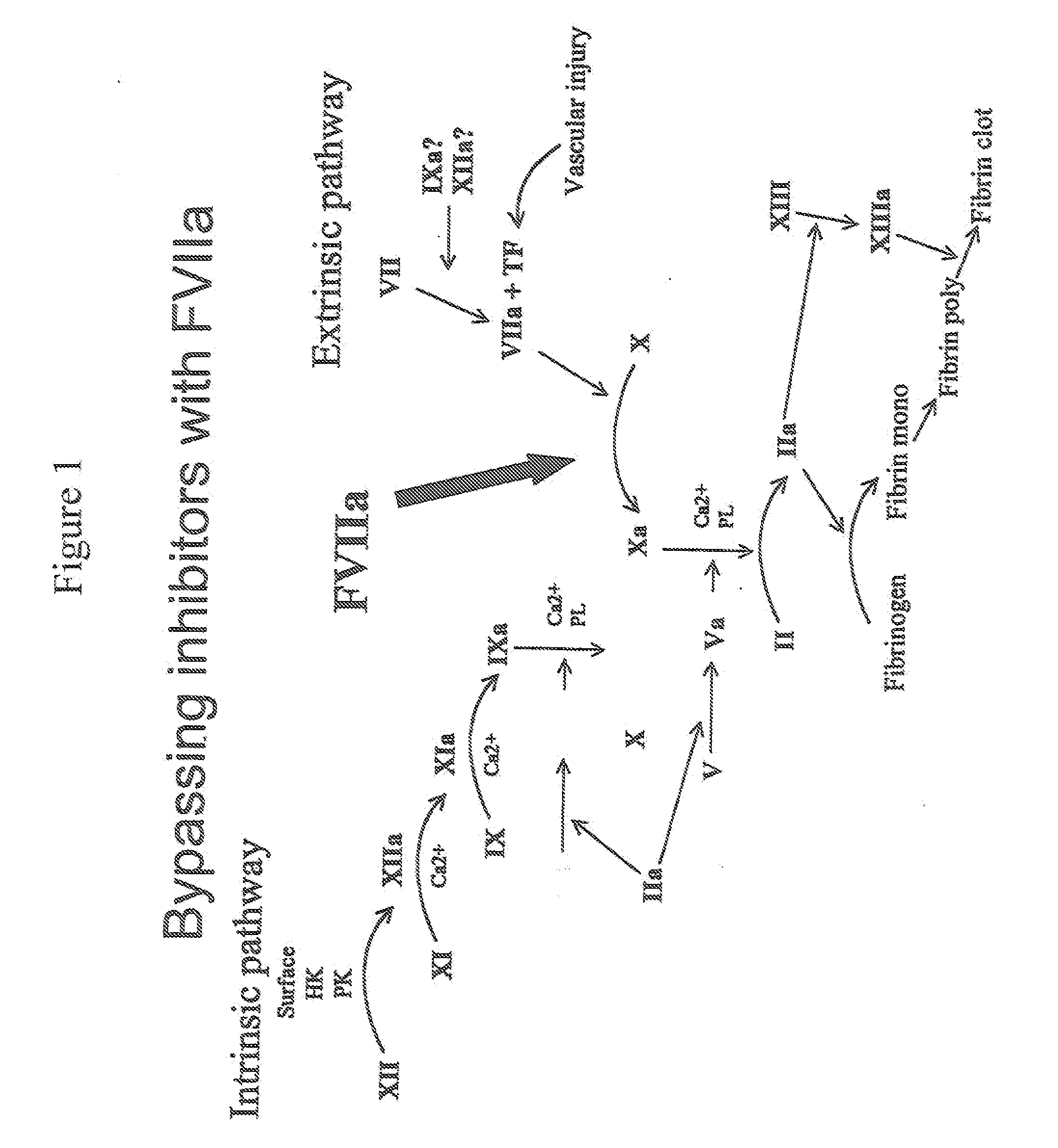 Methods for treating blood coagulation disorders