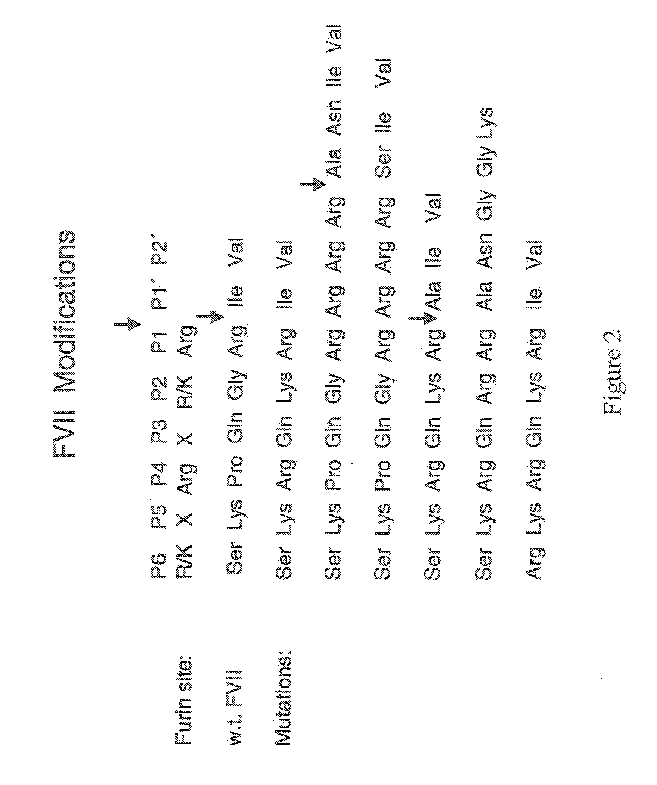 Methods for treating blood coagulation disorders