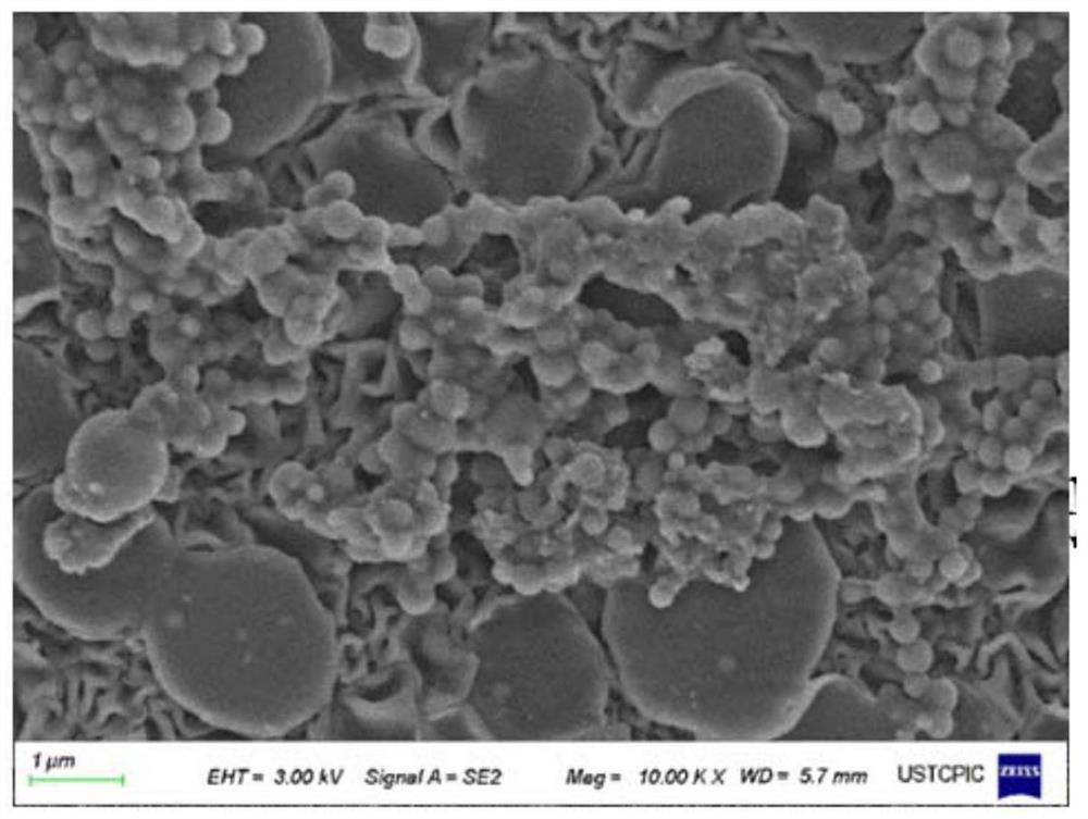 Shape memory aerogel and preparation method thereof