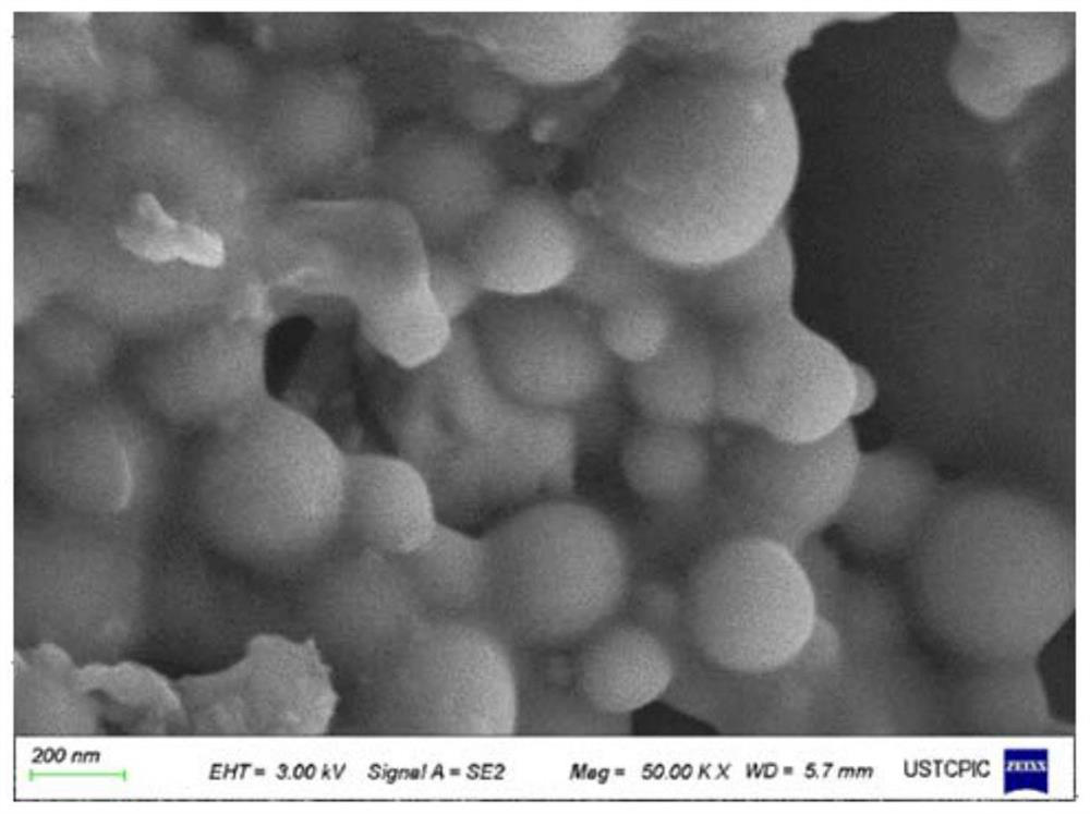 Shape memory aerogel and preparation method thereof