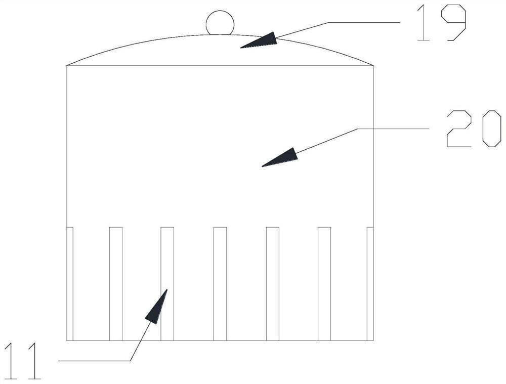 Frog specimen storage device