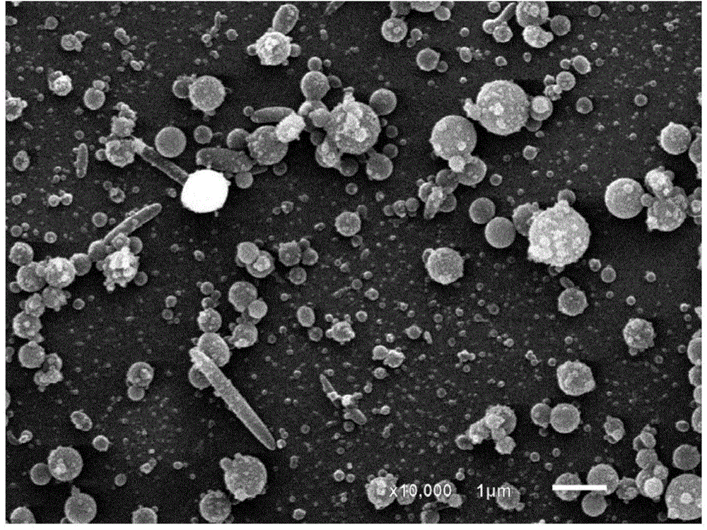 Chitosan microsphere preparation method