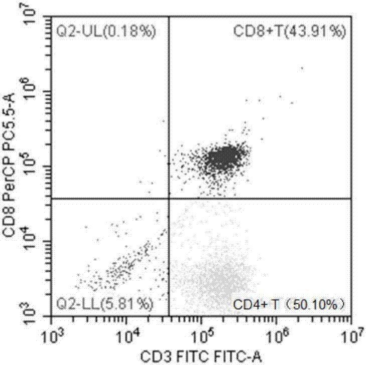 Identification method of EB virus infected lymphocyte subpopulation and application thereof