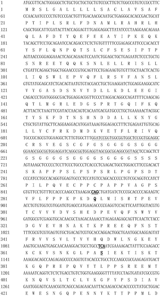 High-glycosylation human growth hormone fusion protein and preparation method and purpose thereof