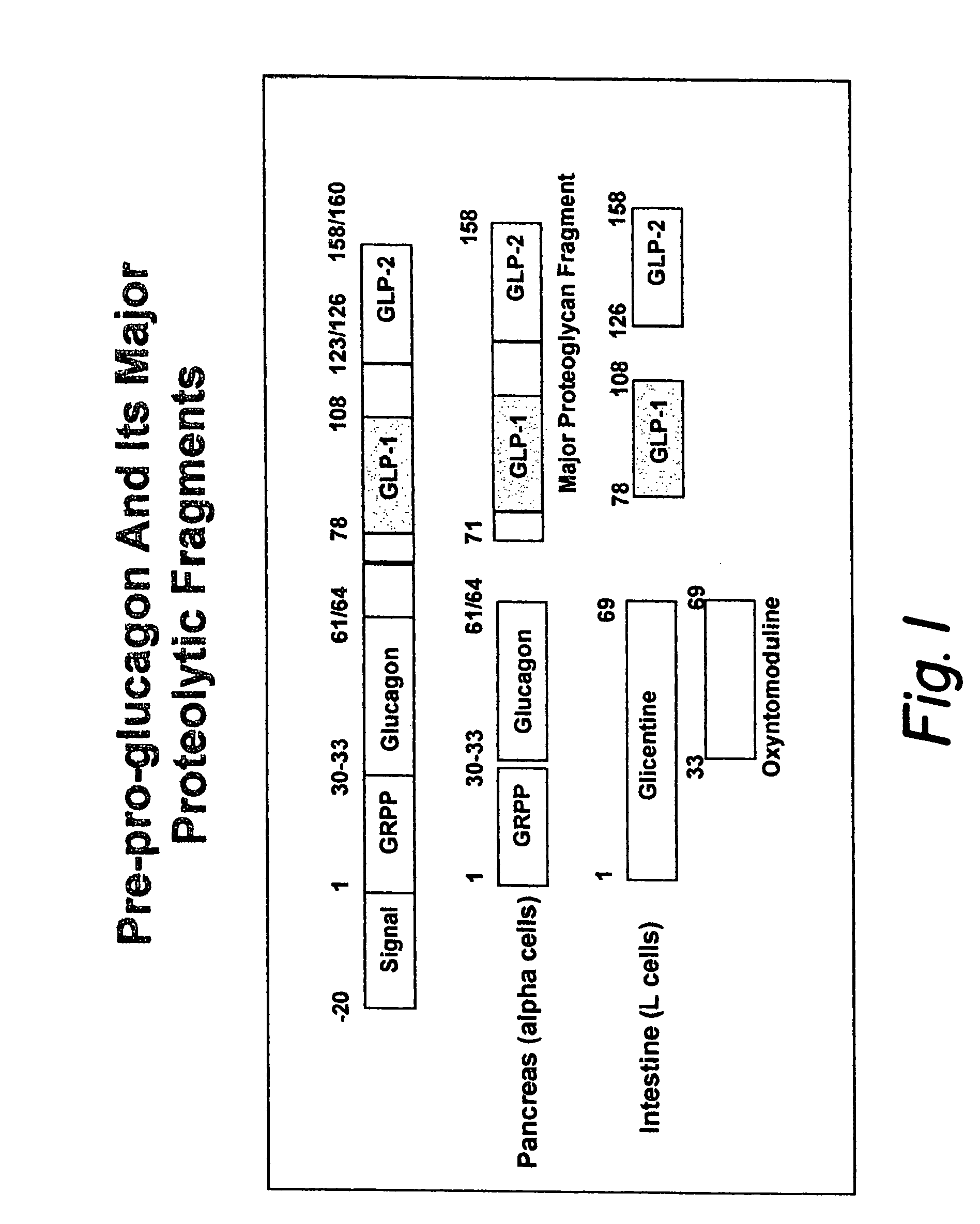 Modified nucleotide sequence encoding glucagon-like peptide-1 (GLP-1), nucleic acid construct comprising same for production of glucagon-like peptide-1 (GLP-1), human cells comprising said construct and insulin-producing constructs, and methods of use thereof