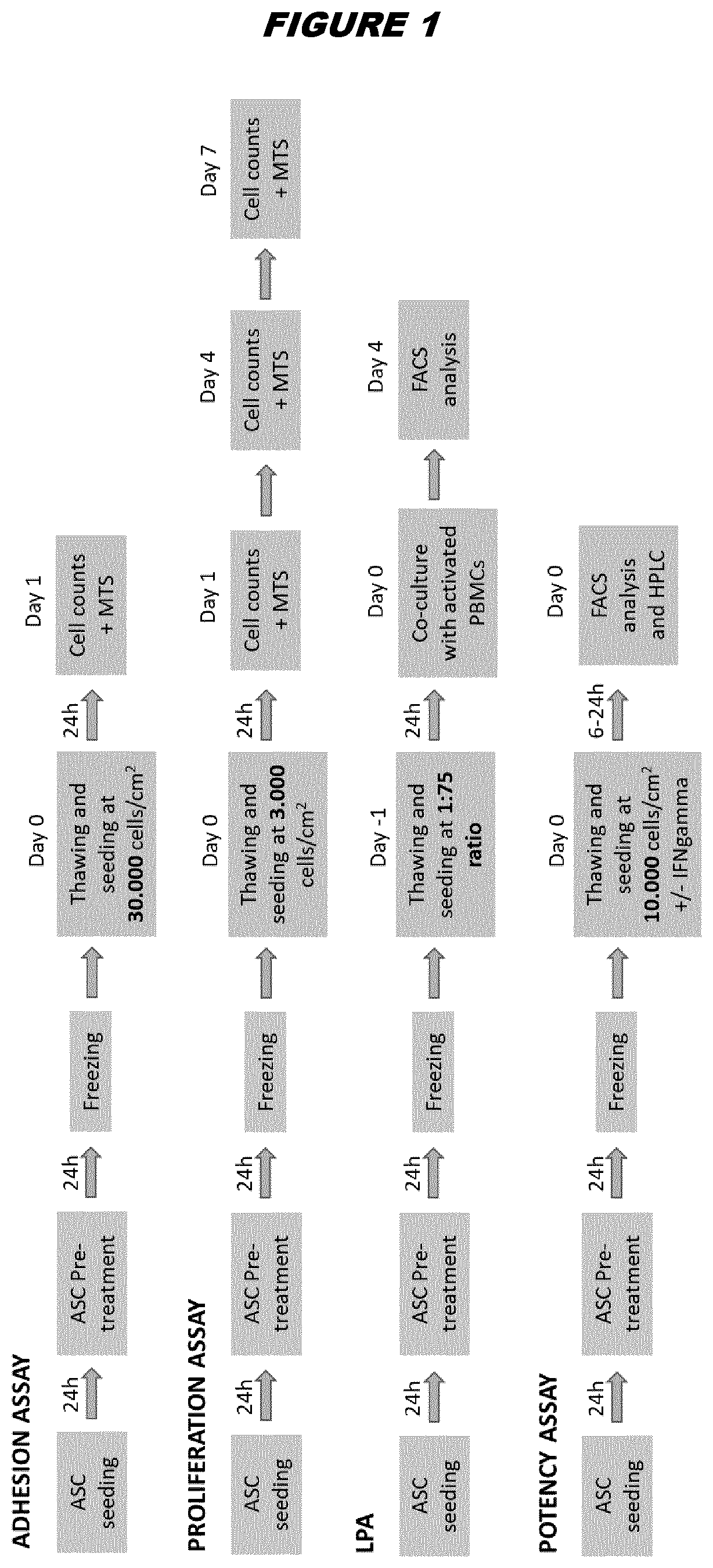 Cryopreservation of stem cells