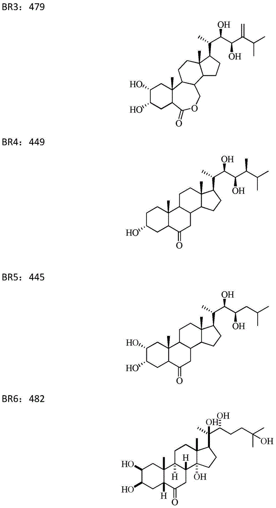 Brassinolide and eugenol complex pesticide and application thereof