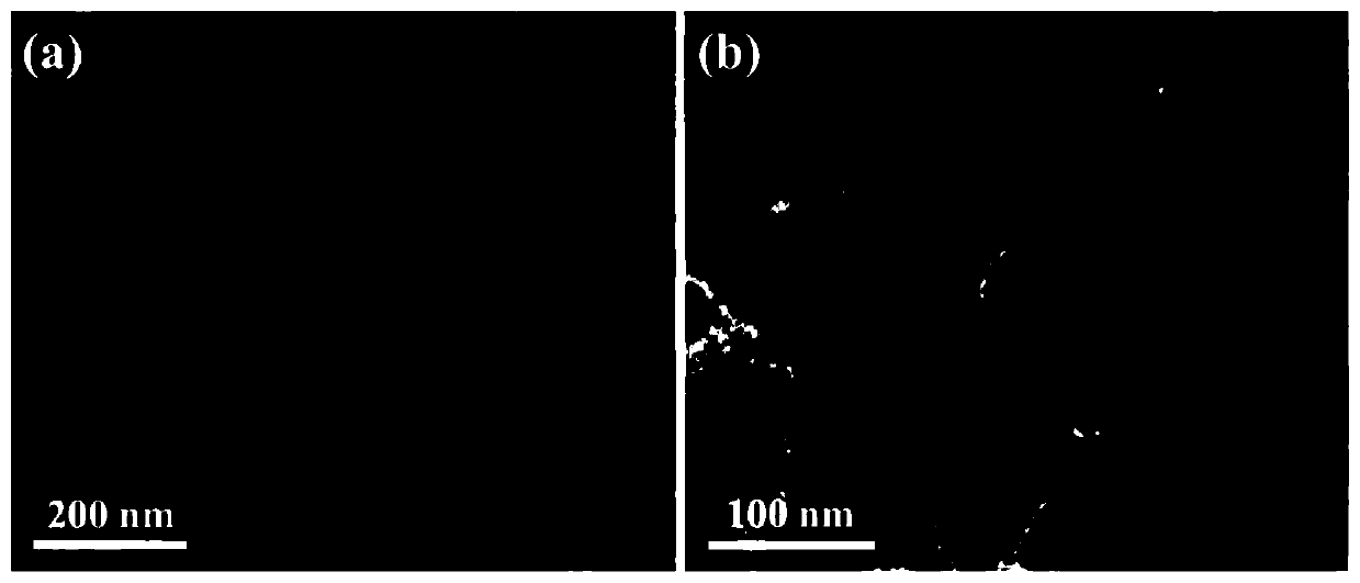 Iridium rhodium nanosheet assembly electrocatalyst for catalyzing hydrogen evolution reaction and preparation method thereof