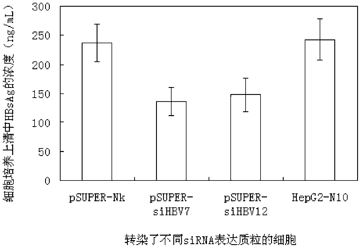 RNA interference targets for hepatitis b virus (HBV) infection treatment