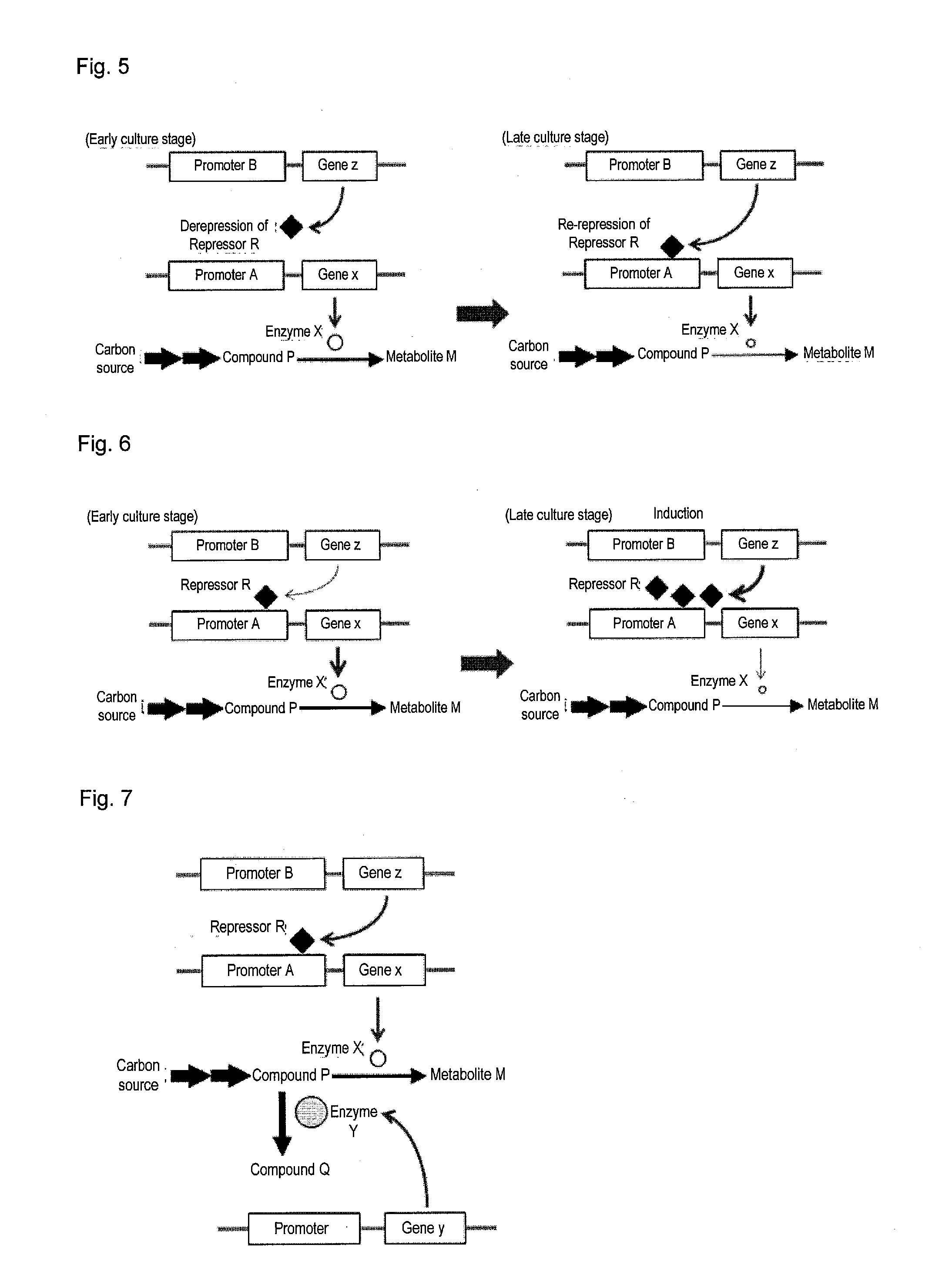 Useful microorganism and method for producing substance of interest