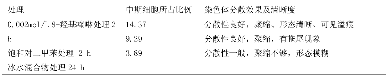 Analysis method of sharp leaf CinnamomumKanehirae Hay karyotype based on root tips