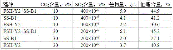 Method for preparing microalgae oil