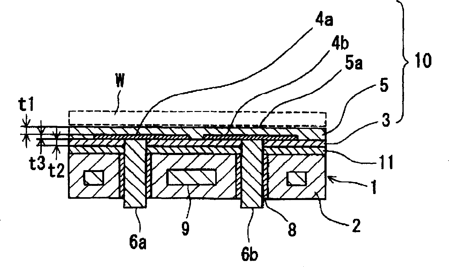 Wafer supporting member