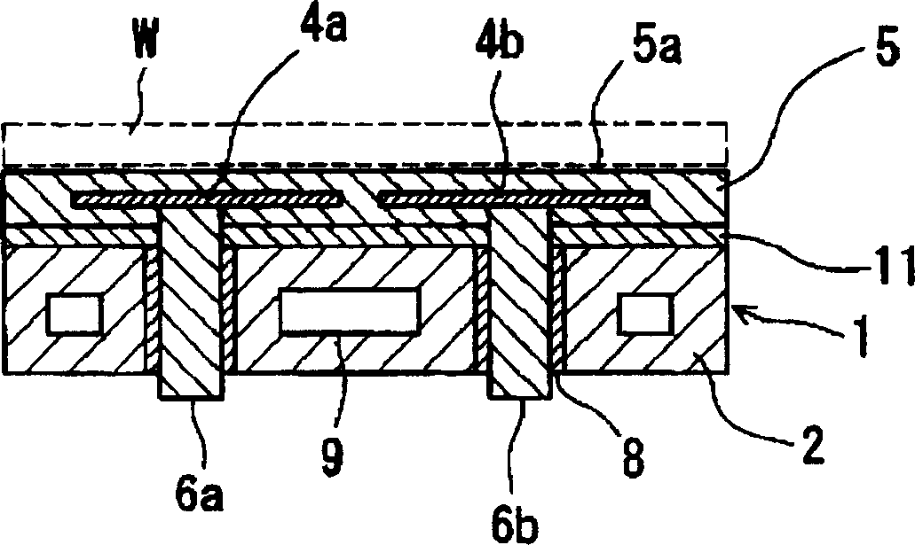 Wafer supporting member