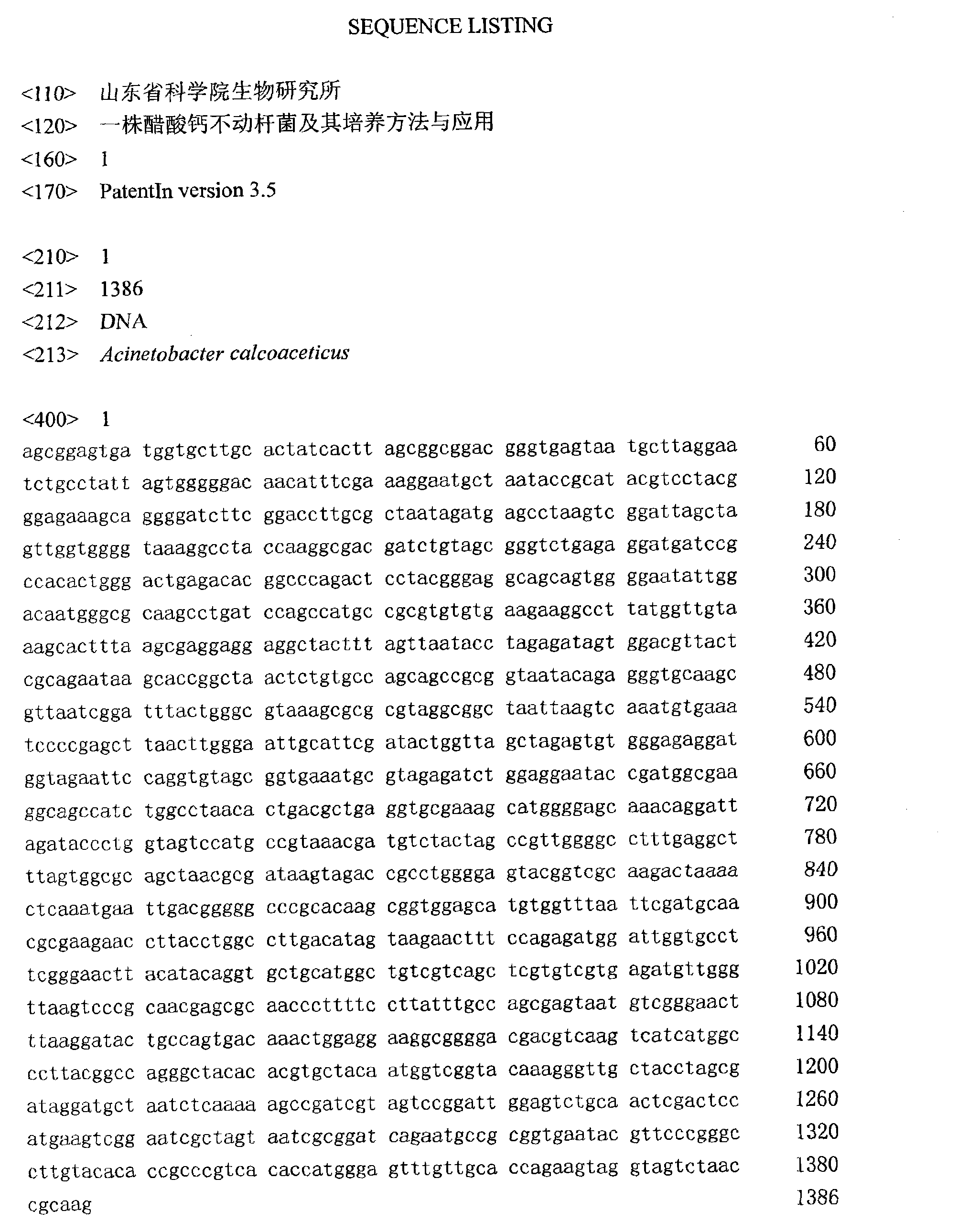 Acinetobacter calcoaceticus and culture method and application thereof