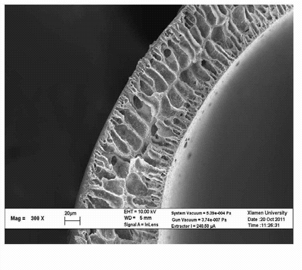 Polyvinylidene fluoride/polyacrylonitrile organic-inorganic hybrid hollow fiber membrane and preparation method thereof