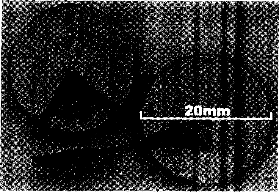 Method for preparing composite material in symmetrical gradient between metallic material and ceramic material