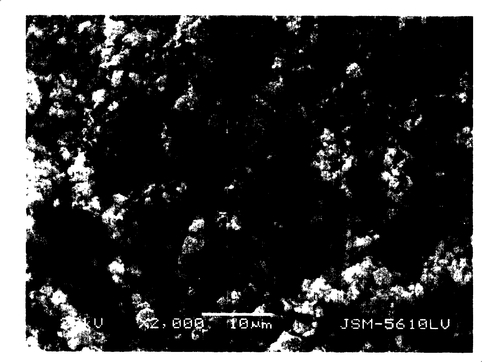 Preparation method for lithium ion secondary battery positive pole active substance lithium iron phosphate