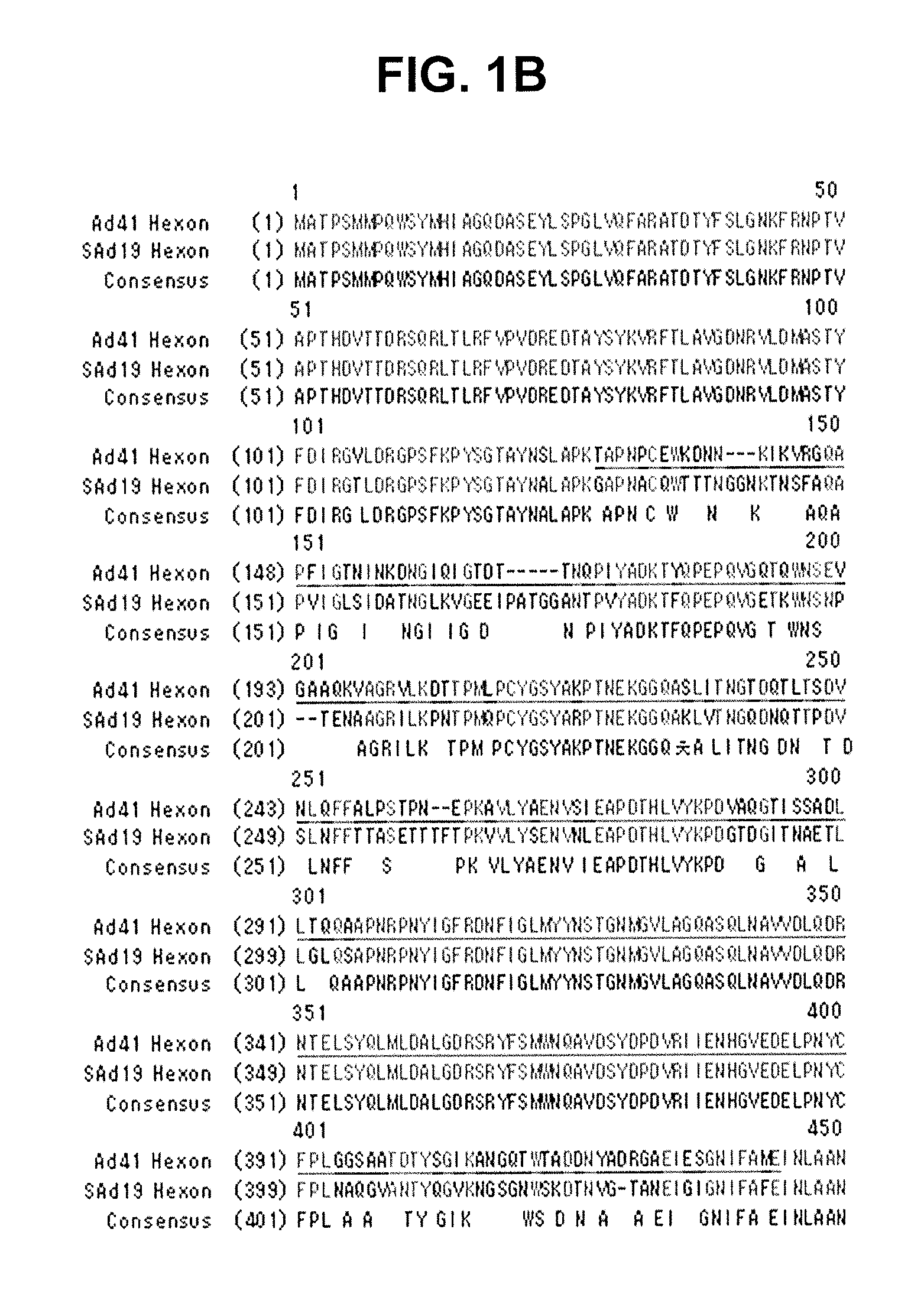 Hexon isolated from simian adenovirus serotype 19, hypervariable region thereof and chimeric adenovirus using the same