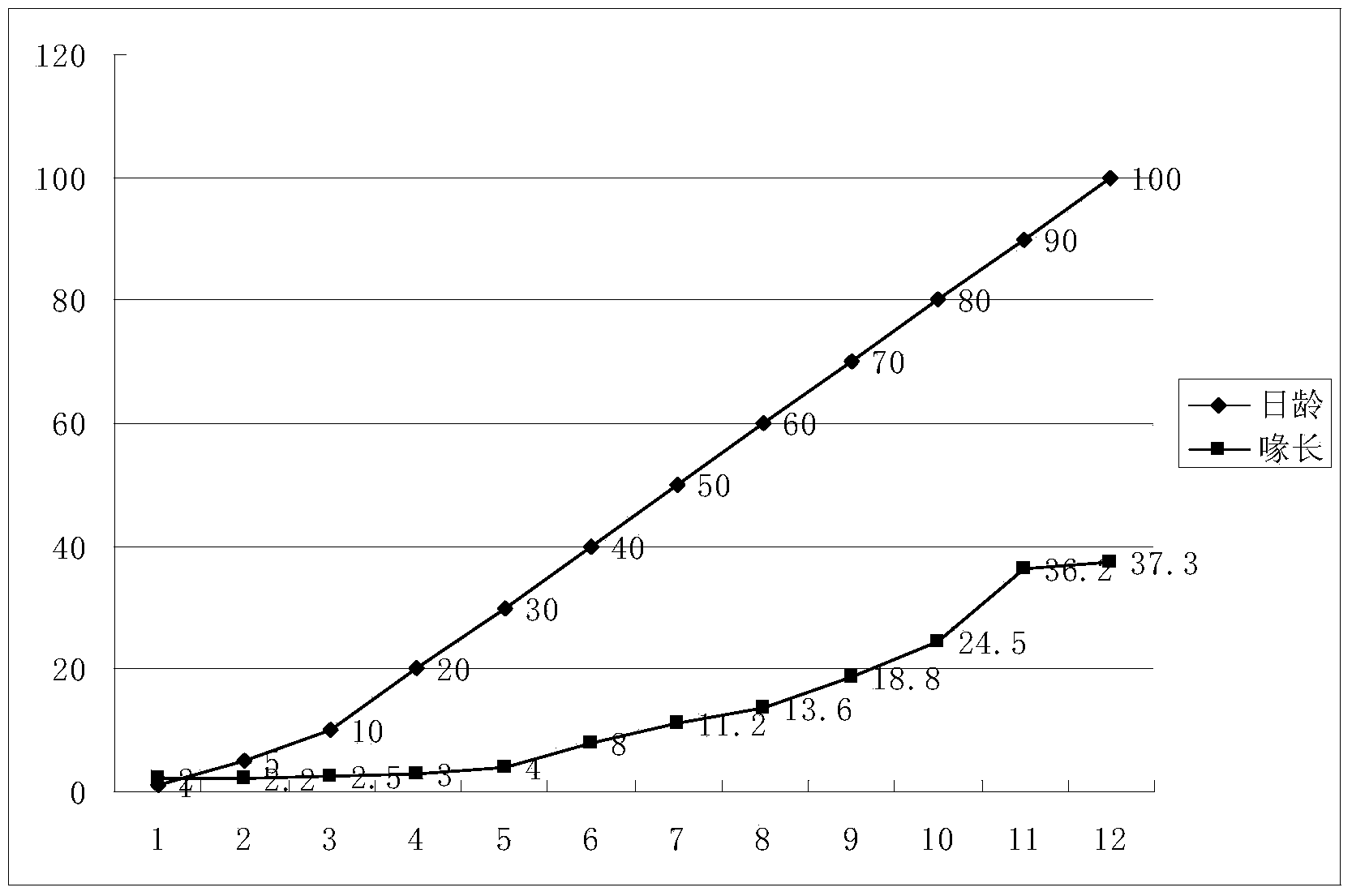 Artificial incubation and artificial brooding method for pelicans