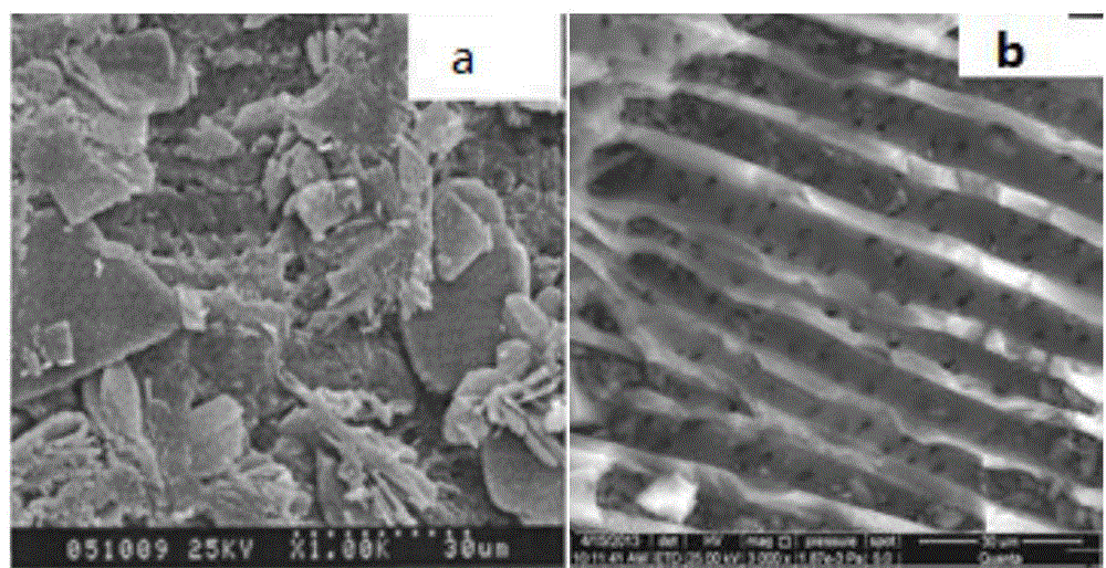 Method for processing reverse-osmosis concentrated water through catalytic ozone oxidation