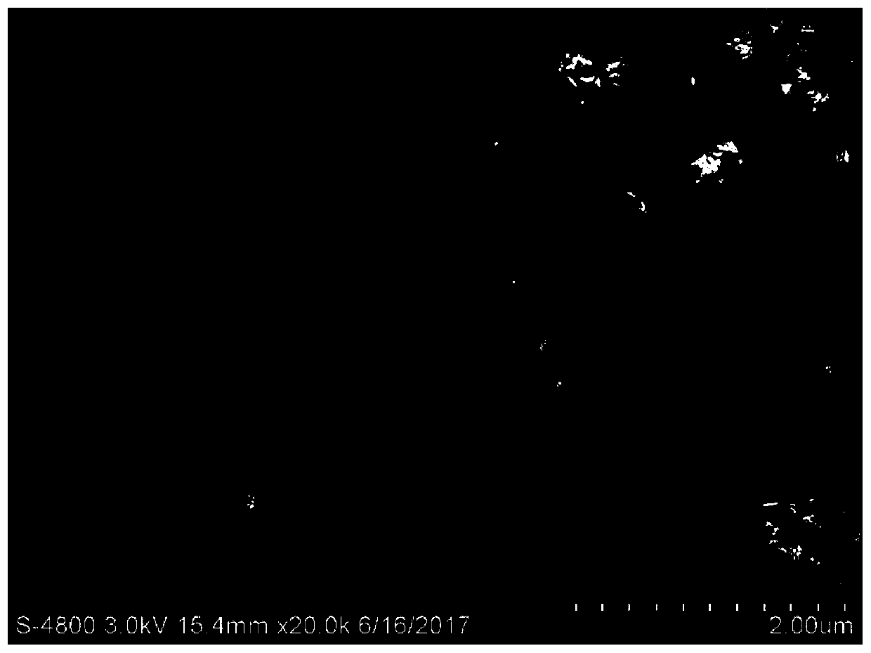 A kind of preparation method of flower-like molybdenum disulfide high-performance supercapacitor electrode