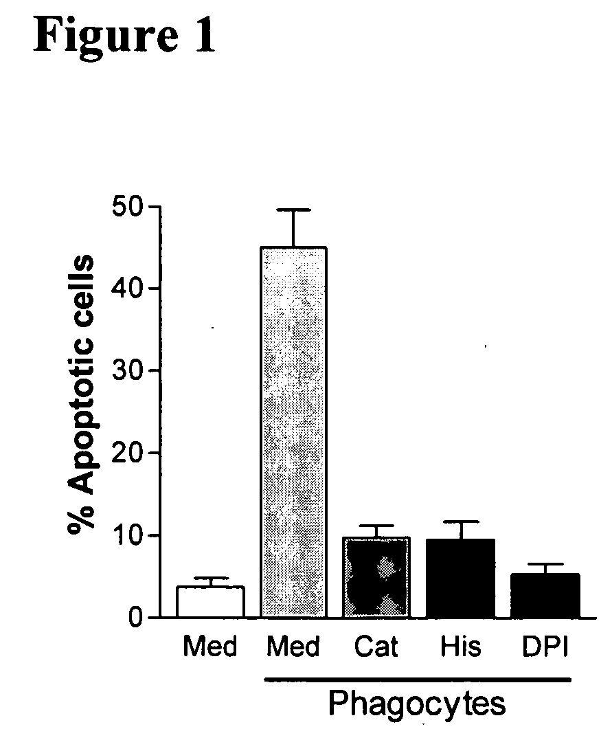 Use of PARP-1 inhibitors for protecting tumorcidal lymphocytes from apoptosis