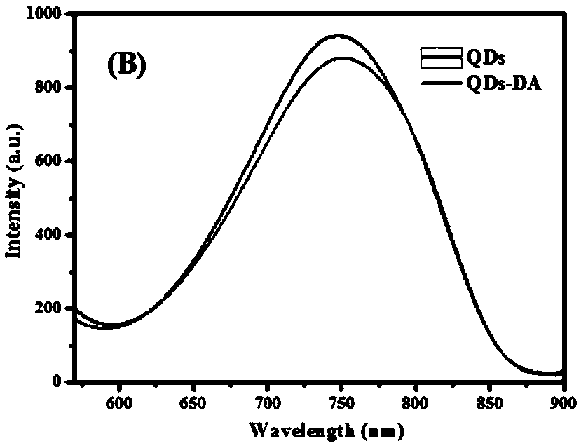 Disease marker indirect immunofluorescence assay method based on dopamine modified ternary quantum points